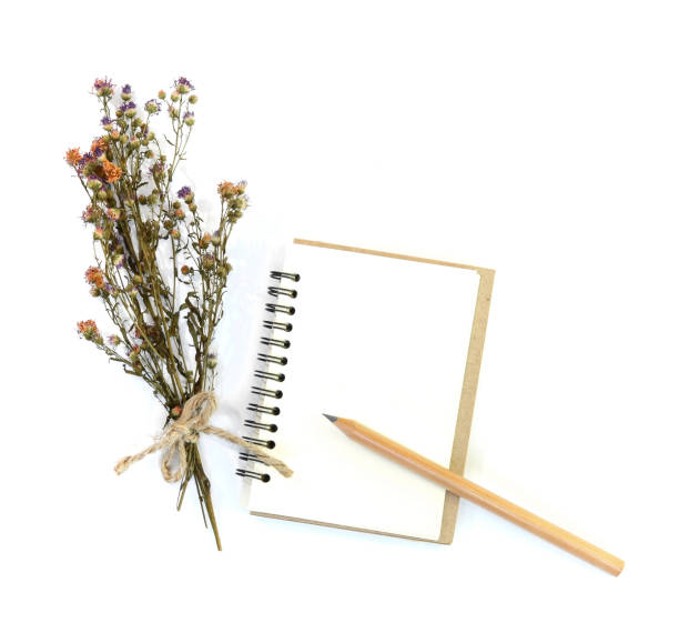istock The dried flowers are placed on a white book. 1307212828