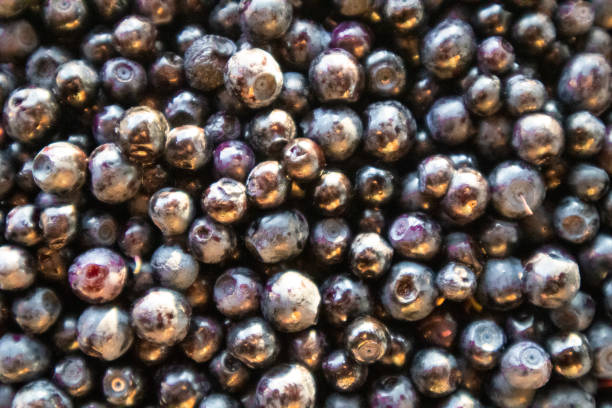 istock Blueberry antioxidant organic superfood 1307213063
