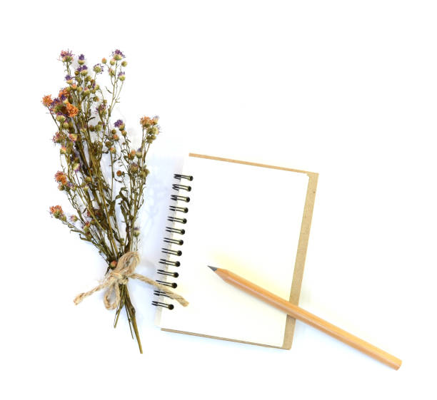 istock The dried flowers are placed on a white book. 1307213199