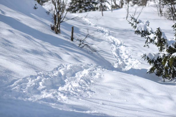 istock Mountain path in the snow in the mountains. 1307224560
