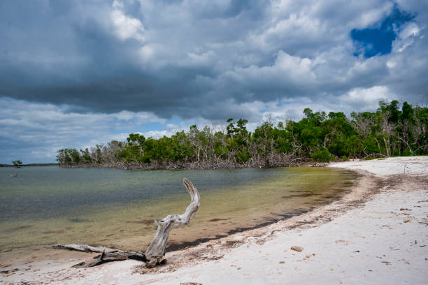 Small beach on Jewell Key, an uninhabited island in the Everglades National Park located near Chokoloskee, Florida.