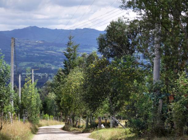 istock Dirt trail in front of a mountain 1307225330