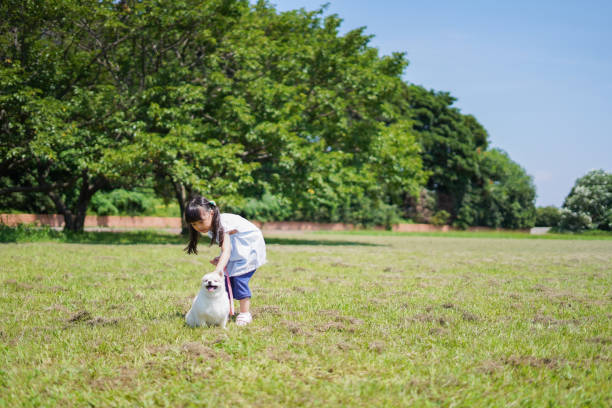 istock Little girl walking her dog 1307226751