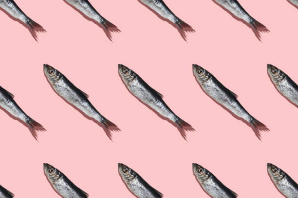 motivo diagonale dell'aringa baltica su un colorbackground rosa - market fish mackerel saltwater fish foto e immagini stock