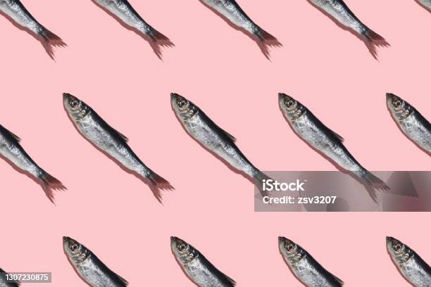 Diagonal Pattern Of Baltic Herring On A Pink Colorbackground Stock Photo - Download Image Now