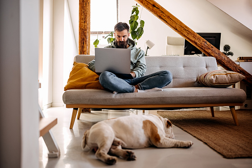 Young bearded man working at home with his sleeping dog