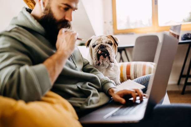 istock Handsome young man working from home with his bulldog 1307233323