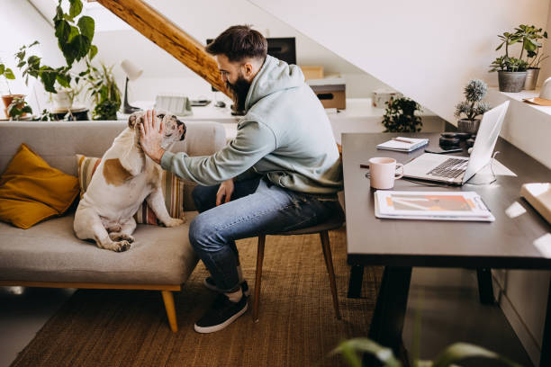 istock Young bearded freelance working having fun with his dog during a break 1307233933
