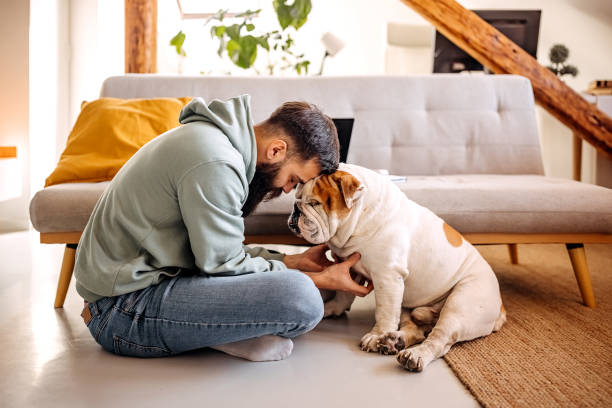 junge bärtige mann kuschelt mit seinem hund während einer pause in seinem home-office - people business dog owner stock-fotos und bilder