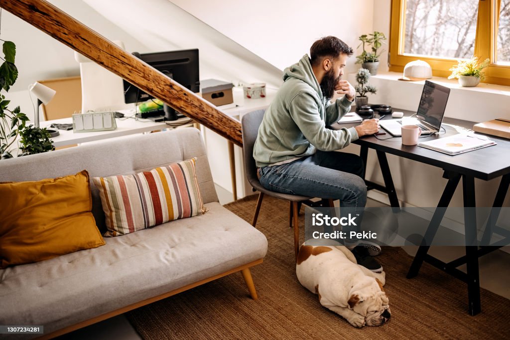 Perro está durmiendo mientras su dueño está trabajando desde casa - Foto de stock de Trabajar desde casa libre de derechos