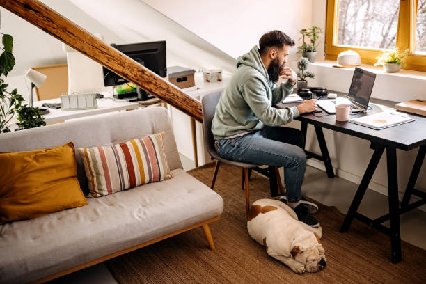 perro está durmiendo mientras su dueño está trabajando desde casa - trabajar desde casa fotografías e imágenes de stock