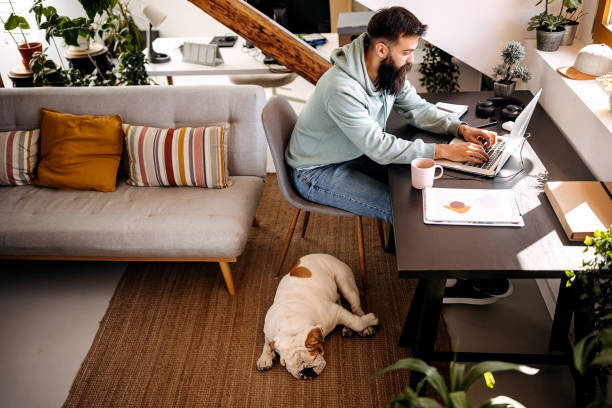pies śpi, podczas gdy jego właściciel pracuje z domu - telecommuting zdjęcia i obrazy z banku zdjęć