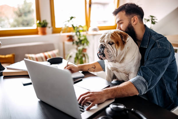 istock Young freelancer working from home with dog in his lap 1307236143