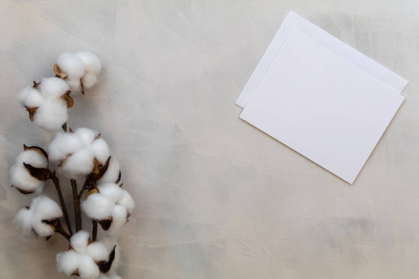 istock White card and envelope mockup and cotton on gray wash background flat lay copy space 1307237251