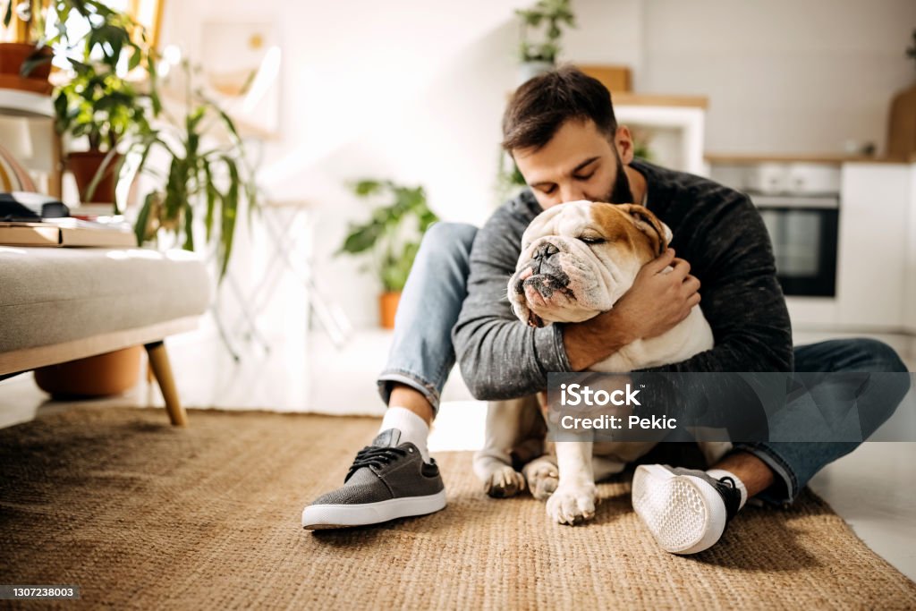 Life is good with a faithful friend by your side Young bearded man bonding with his english bulldog Pets Stock Photo