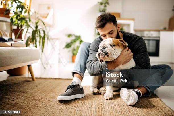 Life Is Good With A Faithful Friend By Your Side Stock Photo - Download Image Now - Pets, Dog, Pet Owner