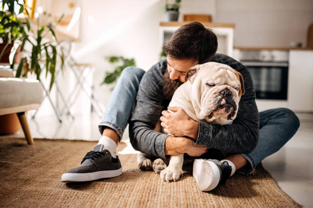 life is good with a faithful friend by your side - english bulldog imagens e fotografias de stock