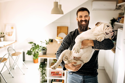 Young bearded man holding his english bulldog