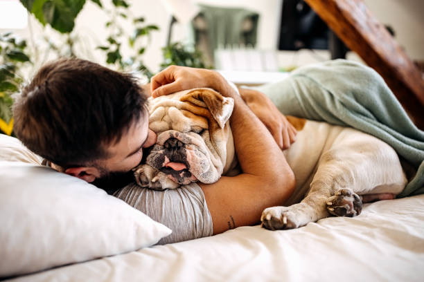 istock Dog want to cuddle 1307238081