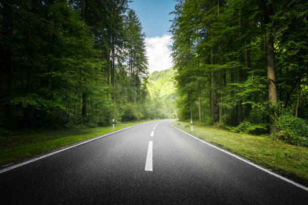 istock road in mountain forest, Switzerland 1307238675