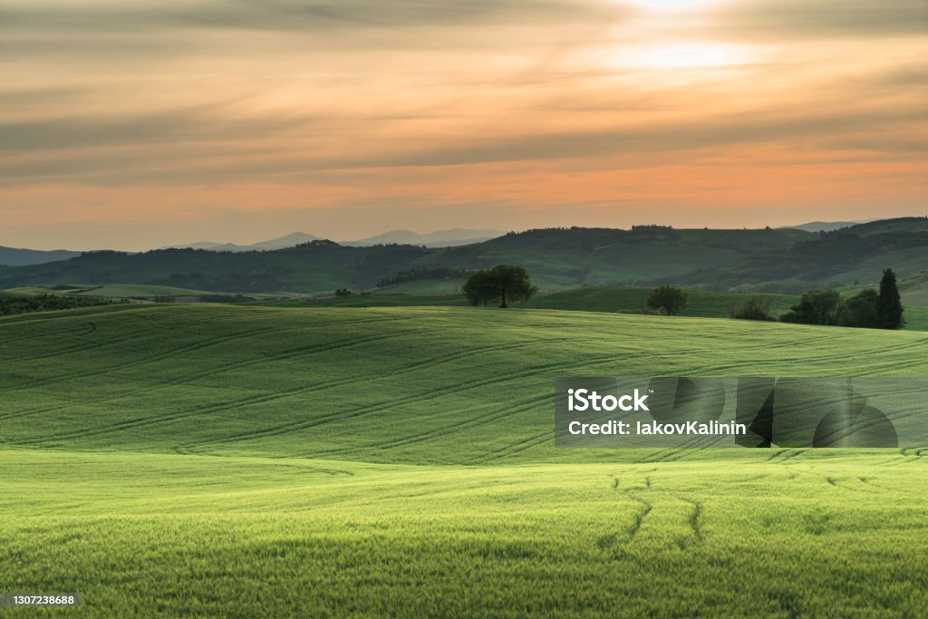 tuscany lanscape, sunset time, Italy Agricultural Field Stock Photo