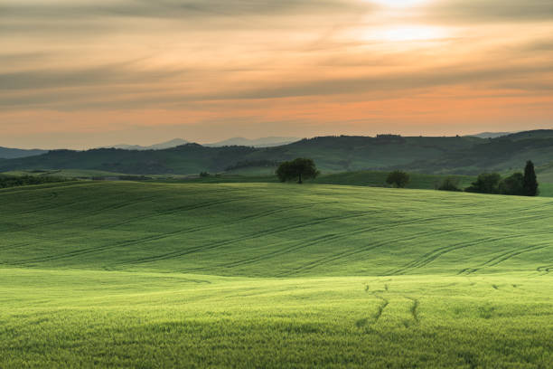 tuscany lanscape, sunset time, Italy stock photo