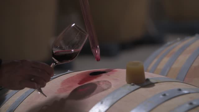 Winemaker Making Wine Test in Winery Cellar