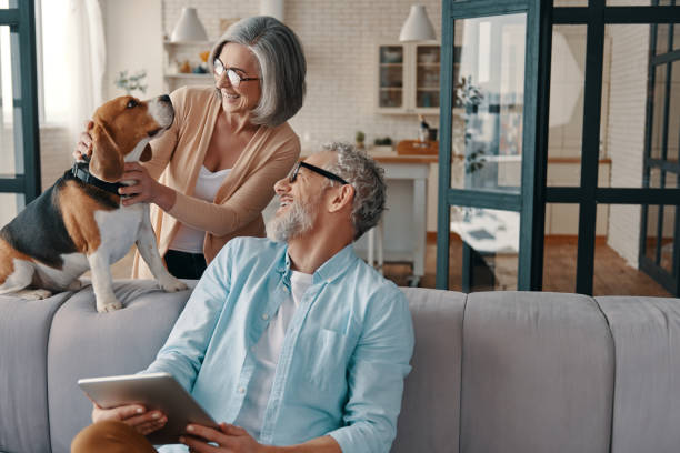 Happy senior couple in casual clothing Happy senior couple in casual clothing smiling and taking care of their dog while bonding together at home mature couple stock pictures, royalty-free photos & images