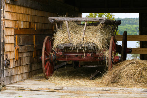 istock Wagon with hay in old rustic barn overlooking the Saint John River, New Brunswick, Canada. 1307242542