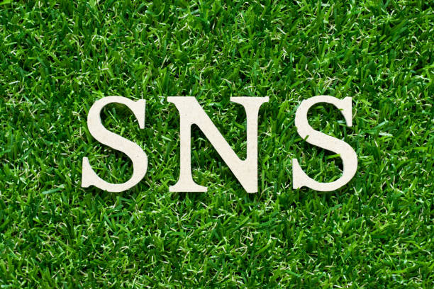 istock Wood alphabet letter in word  SNS (abbreviation of Social Networking Site or sorry not sorry) on green grass background 1307242571