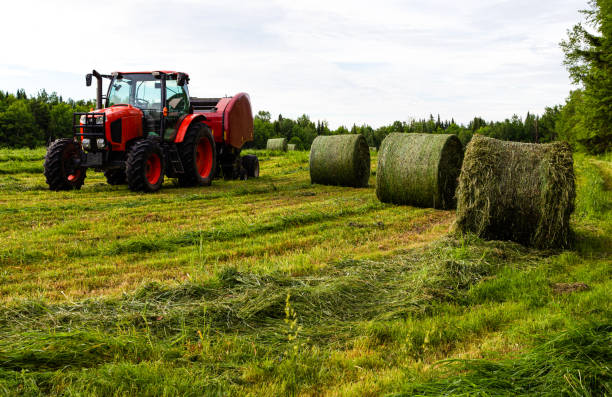 istock Making Hay in Debec, New Brunswick 1307242830