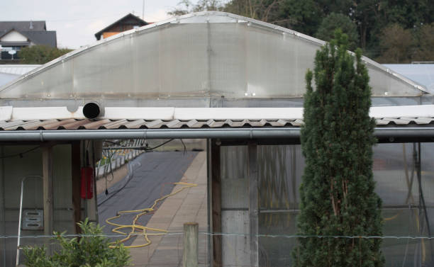 istock greenhouse for vegetable and plant production 1307243919