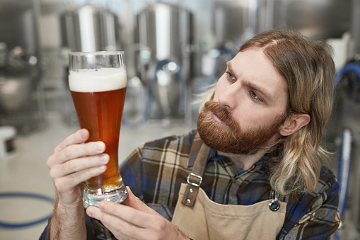 Portrait of bearded brewmaster holding beer glass while inspecting quality of production at brewing factory, copy space