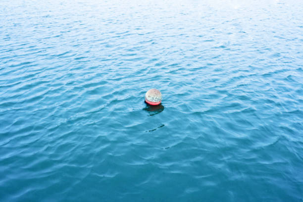 istock a float ball in the sea 1307245889