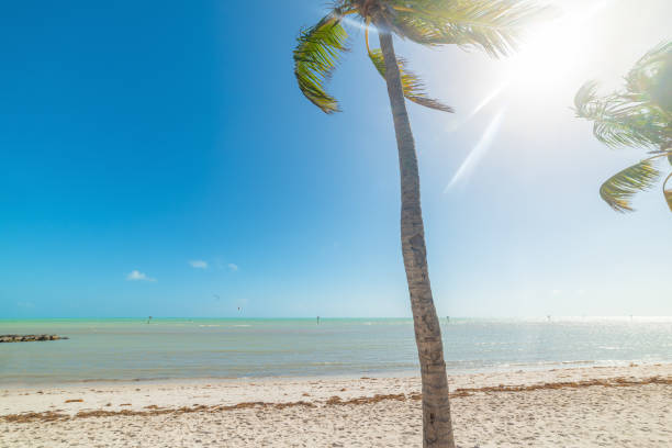 istock Sun shining over famous Smathers beach in Key West 1307248572