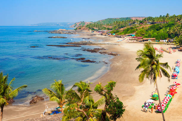 istock Vagator beach in Goa, India 1307248778