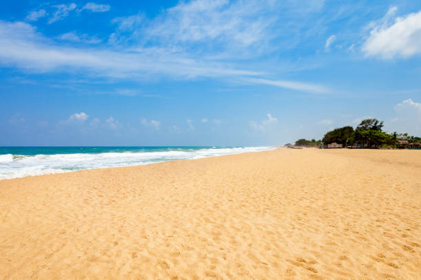 istock Beauty beach, Sri Lanka 1307248827