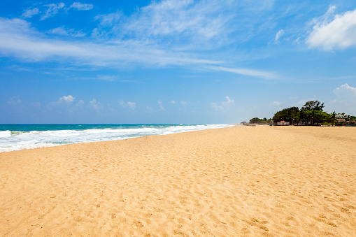Beauty lonely beach with yellow sand on Sri Lanka island