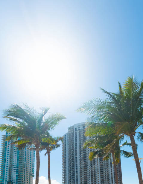 istock Sun shining over downtown Miami's skyscrapers 1307249802