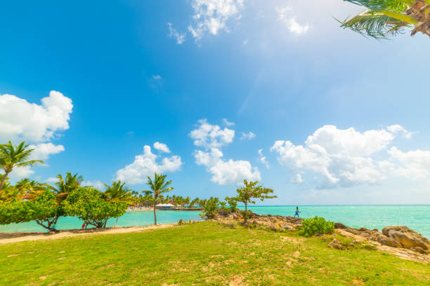 istock Blue sky over Bas du Fort beach in Guadeloupe 1307250469