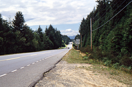 straight road though a wooded area in British Columbia Canada