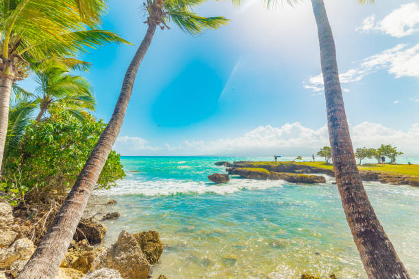 istock Sun shining over Bas du Fort beach in Guadeloupe 1307252650