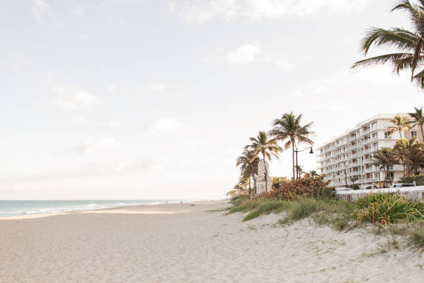 istock Empty View Down the Palm Beach, Florida Seashore Filled with Sand, Ocean, Palm Trees, Buildings & the Worth Avenue Clock Tower 1307252872