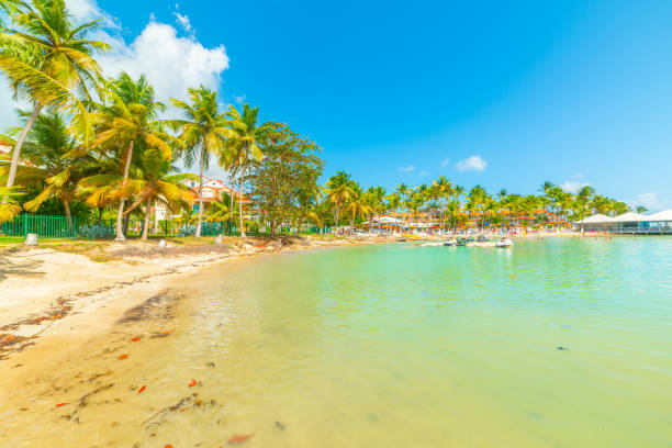 istock Bas du Fort beach under a blue sky in Guadeloupe 1307253341