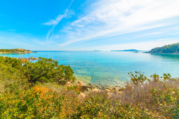 istock Colorful shore in Punta Molentis beach 1307254018