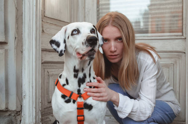 istock A young woman with her dalmatian dog 1307254742