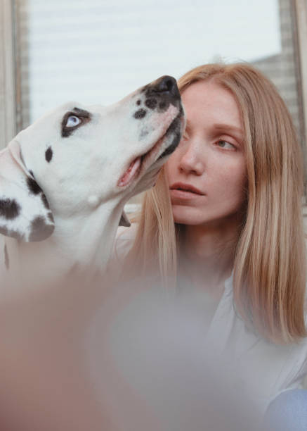 istock A young woman with her dalmatian dog 1307254792