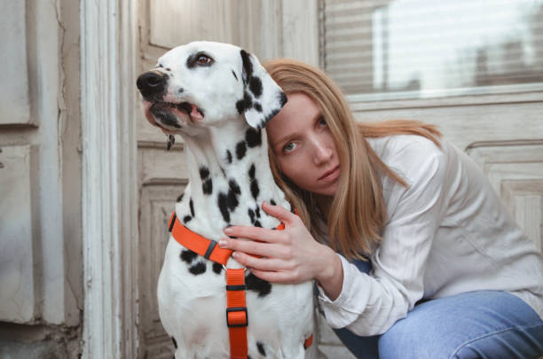 istock A young woman with her dalmatian dog 1307255525
