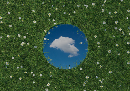 3d rendering of circular mirror reflecting single white cloud and surrounded by white daisies. Flat lay of nature style concept
