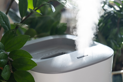 Humidifier spreading steam into the living room.A humidifier among indoor plants. Healthy air at home. Tropical plants. Health care.